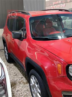 جيب رينيجيد